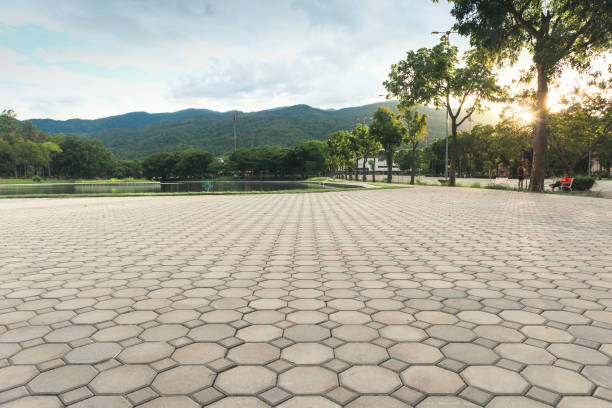 Best Driveway Pavers for Homes  in Minden, LA